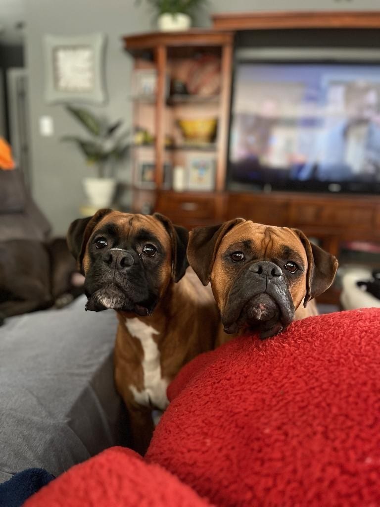 Beam & Finn